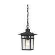 Cove Neck - 1 Light - 12 in. - Outdoor Hang with Clear Seed Glass