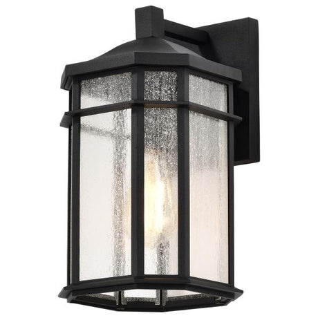 Raiden Collection Outdoor 14 inch Wall Light - Matte Black Finish with Clear Seedy Glass