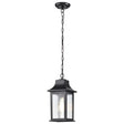 Stillwell Collection Outdoor 14 inch Hanging Light - Matte Black Finish with Clear Water Glass