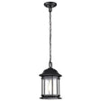 Hopkins Collection Outdoor 12 inch Hanging Lantern - Matte Black Finish with Clear Glass