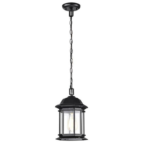 Hopkins Collection Outdoor 12 inch Hanging Lantern - Matte Black Finish with Clear Glass