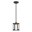 Payne - 1 Light - Mini Pendant with Clear Beveled Glass