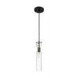 Spyglass - 1 Light - Mini Pendant Fixture - Black Finish with Clear Glass