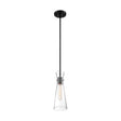 Bahari - 1 Light - Mini Pendant Fixture - Black Finish with Clear Glass