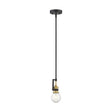 Intention - 1 Light - Mini Pendant Fixture - Warm Brass and Black Finish