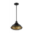 Newbridge - 1 Light - Large Pendant Fixture - Dark Bronze Finish with Gold Accents