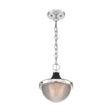 Faro - 1 Light - Small Pendant Fixture - Polished Nickel Finish with Black Accents - Clear Prismatic Glass