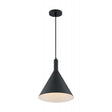 Lightcap - 1 Light - Large Pendant Fixture - Matte Black Finish