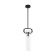 Teresa - 1 Light - Cylinder Pendant Fixture - Matte Black Finish with Clear Glass