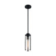 Marina - 1 Light - Mini Pendant Fixture - Matte Black Finish with Clear Glass