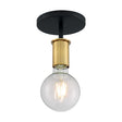 Ryder - 1 Light - Semi Flush Fixture - Black Finish with Brushed Brass Sockets