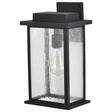 Sullivan - 1 Light Large Wall Lantern - Matte Black with Clear Seeded Glass