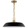 Colony - 1 Light - Medium Pendant - Matte Black with Burnished Brass