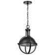 Lincoln - 1 Light Medium Pendant - Medium Base - 60 Watt - Matte Black Finish - Clear Seeded Glass