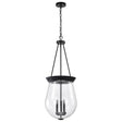 Boliver 3 Light Pendant - 14 Inches - Matte Black Finish - Clear Seeded Glass