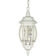 Central Park - 3 Light - 20 in. - Hanging Lantern with Clear Beveled Glass