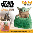 Chia Pet Star Wars Child Mandalorian Decorative Planter Clay 1 pk