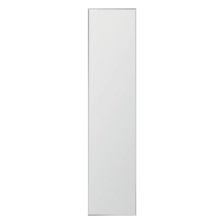 Erias 60 in. H X 16 in. W Full Length Door Mirror