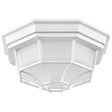 LED Spider Cage Fixture - White Finish with Frosted Glass