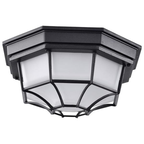 LED Spider Cage Fixture - Black Finish with Frosted Glass