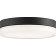 Pi - 11 in. - Flush Mount LED Fixture - Black Finish with Etched Glass