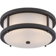 Willis - LED Outdoor Flush Fixture with Antique White Glass