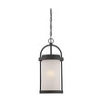 Willis - LED Outdoor Hanging with Antique White Glass