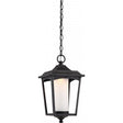 Essex Hanging Lantern - Sterling Black Finish