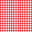 Magic Cover Red/White Checkered Vinyl Disposable Tablecloth 54 in. L X 54 in. W