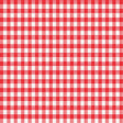 Magic Cover Red/White Checkered Vinyl Disposable Tablecloth 90 in. L X 52 in. W