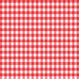 Magic Cover Red/White Checkered Vinyl Disposable Tablecloth 70 in. L X 52 in. W