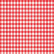 Magic Cover Red/White Checkered Vinyl Disposable Tablecloth 90 in. L X 52 in. W