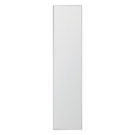 Erias 54 in. H X 14 in. W Glass Mirror