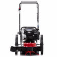 Toro 58620 22 in. 163 cc Gas Trimmer Mower