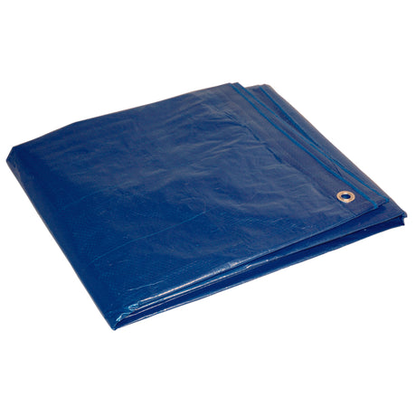 Foremost Dry Top 40 ft. W X 60 ft. L Medium Duty Polyethylene Tarp Blue