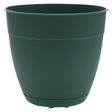 Bloem Dayton 5.75 in. H X 6 in. D Plastic Transitional Planter Turtle Green