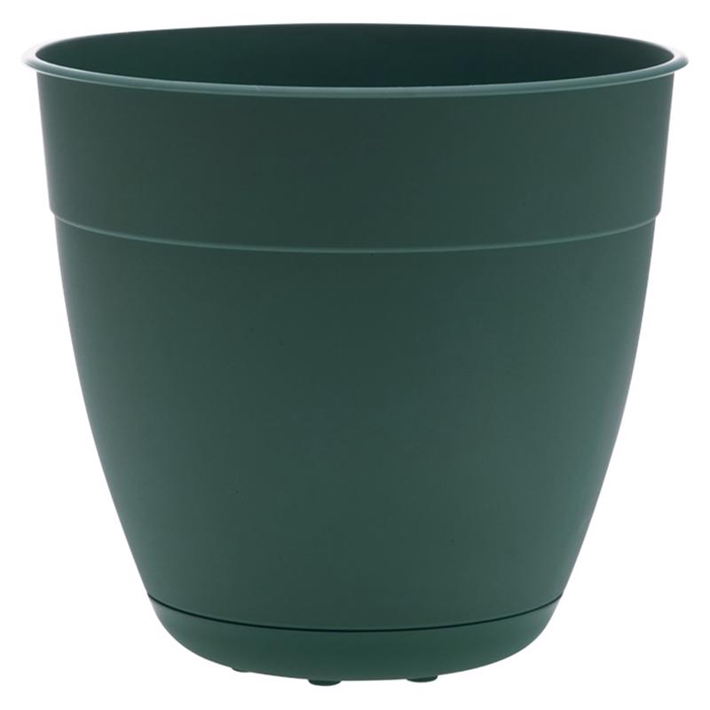 Bloem Dayton 5.75 in. H X 6 in. D Plastic Transitional Planter Turtle Green