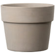 Deroma 3.62 in. H X 4.3 in. D Clay Cachepot Graphite