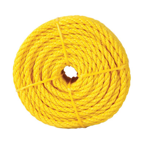 Koch 3/8 in. D X 50 ft. L Yellow Twisted Polypropylene Rope