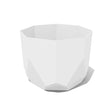 Bloem 5 in. H X 6 in. D Resin Tuxton Planter Casper White