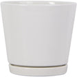 Trendspot Knack 5.7 in. H X 6 in. D Ceramic Planter White