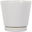 Trendspot 4 in. H X 4 in. W X 4 in. D Ceramic Knack Planter White