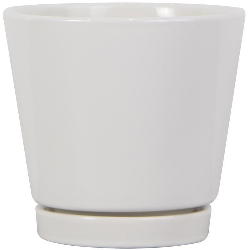 Trendspot 4 in. H X 4 in. W X 4 in. D Ceramic Knack Planter White