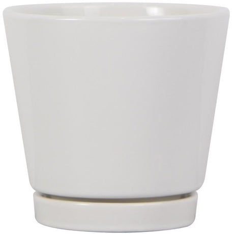 Trendspot 4 in. H X 4 in. W X 4 in. D Ceramic Knack Planter White