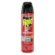 Raid Insect Killer Aerosol 17.5 oz