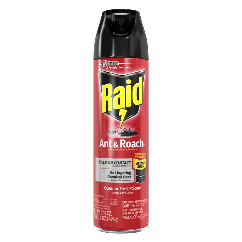 Raid Insect Killer Aerosol 17.5 oz