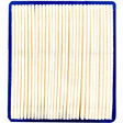 Arnold Air Filter