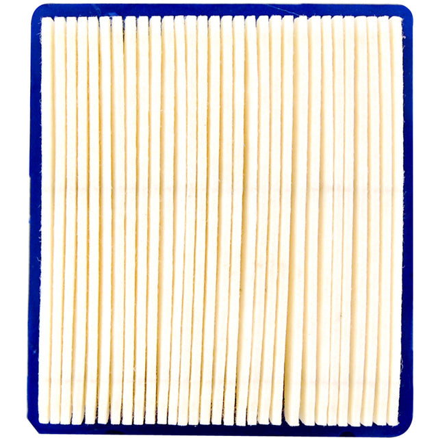 Arnold Air Filter