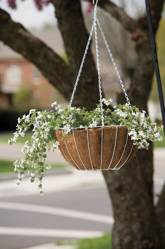 Panacea Steel Hanging Basket White