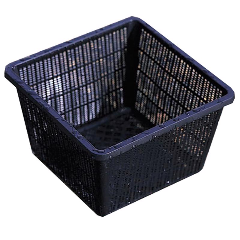 Beckett Aquatic 10 in. Plastic Plant Basket